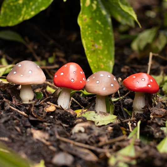 Mini Mushroom Plant Pot Pals