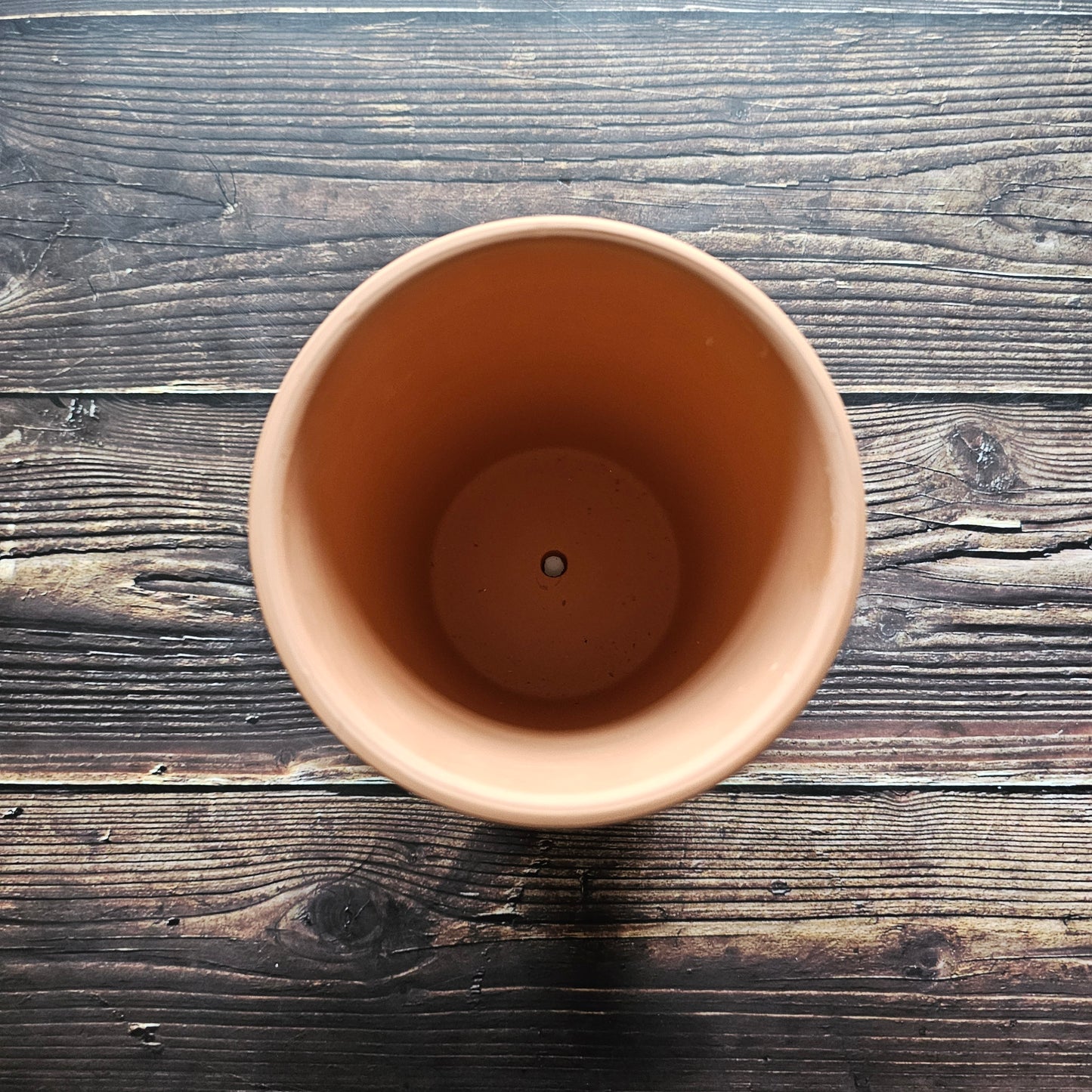 Green Man Terracotta Plant Pot