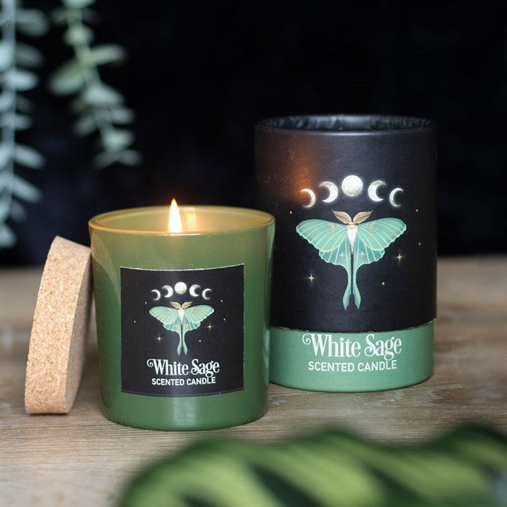 White Sage scented candle, shown next to its box; both decorated with a lunar moth and moon phases motif 