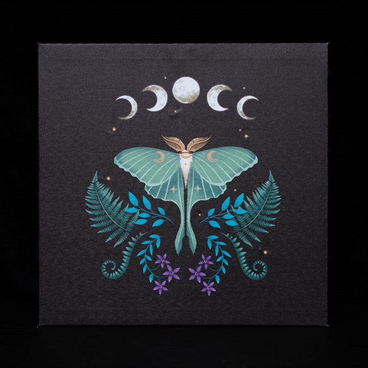 A square artwork lunar moth and plant themed which lights up.