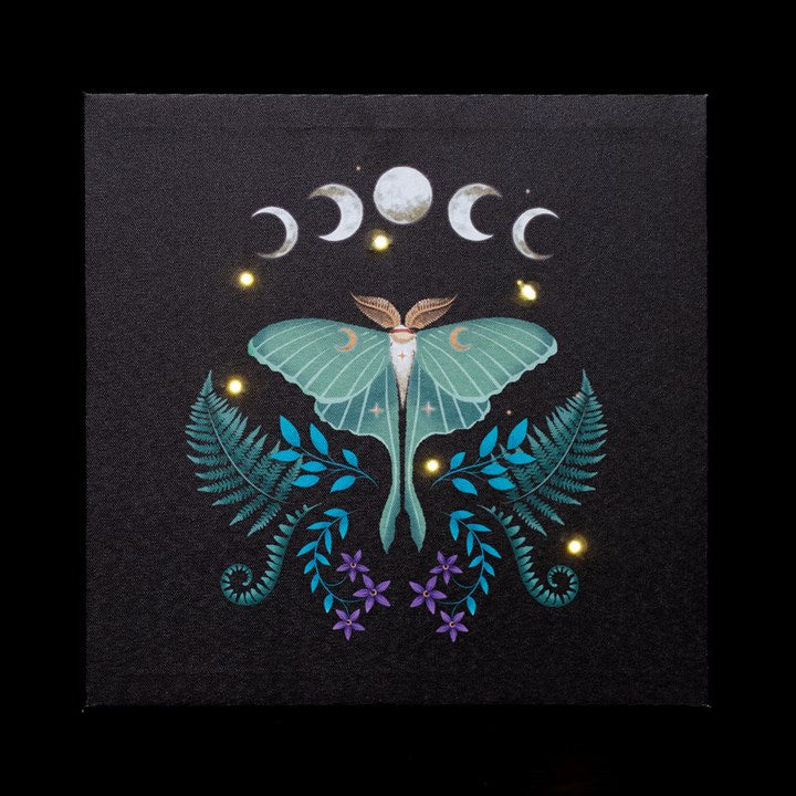 A square artwork lunar moth and plant themed which lights up.
