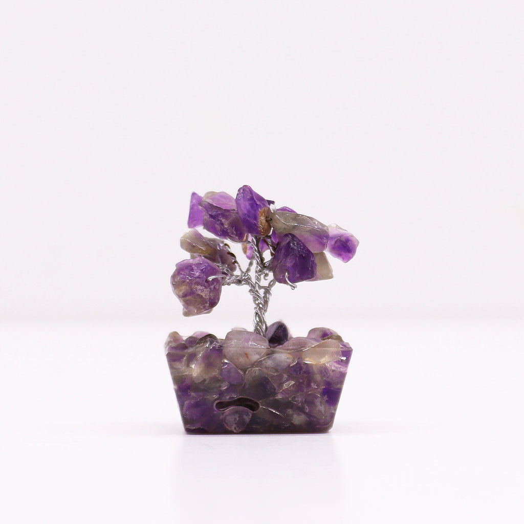 A mini amethyst tree on an orgonite base