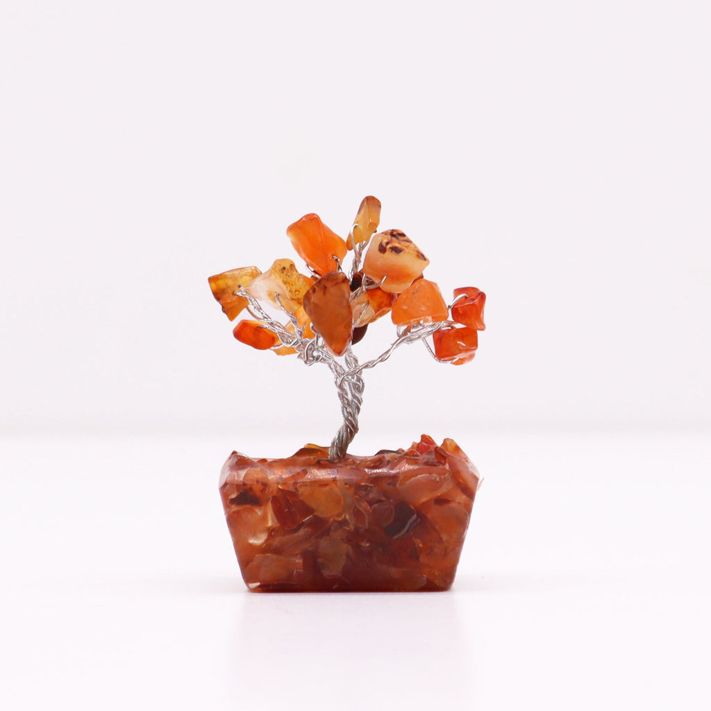 A mini carnelian tree on an orgonite base