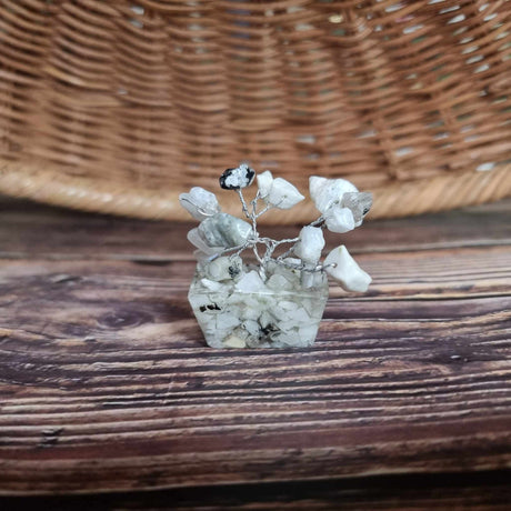 A mini white howlite tree on an orgonite base, displayed on a wooden surface