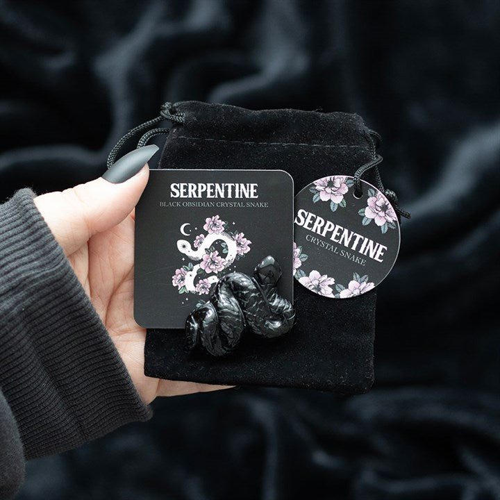 A hand holding a black obsidian snake with a black bag on a dark background 