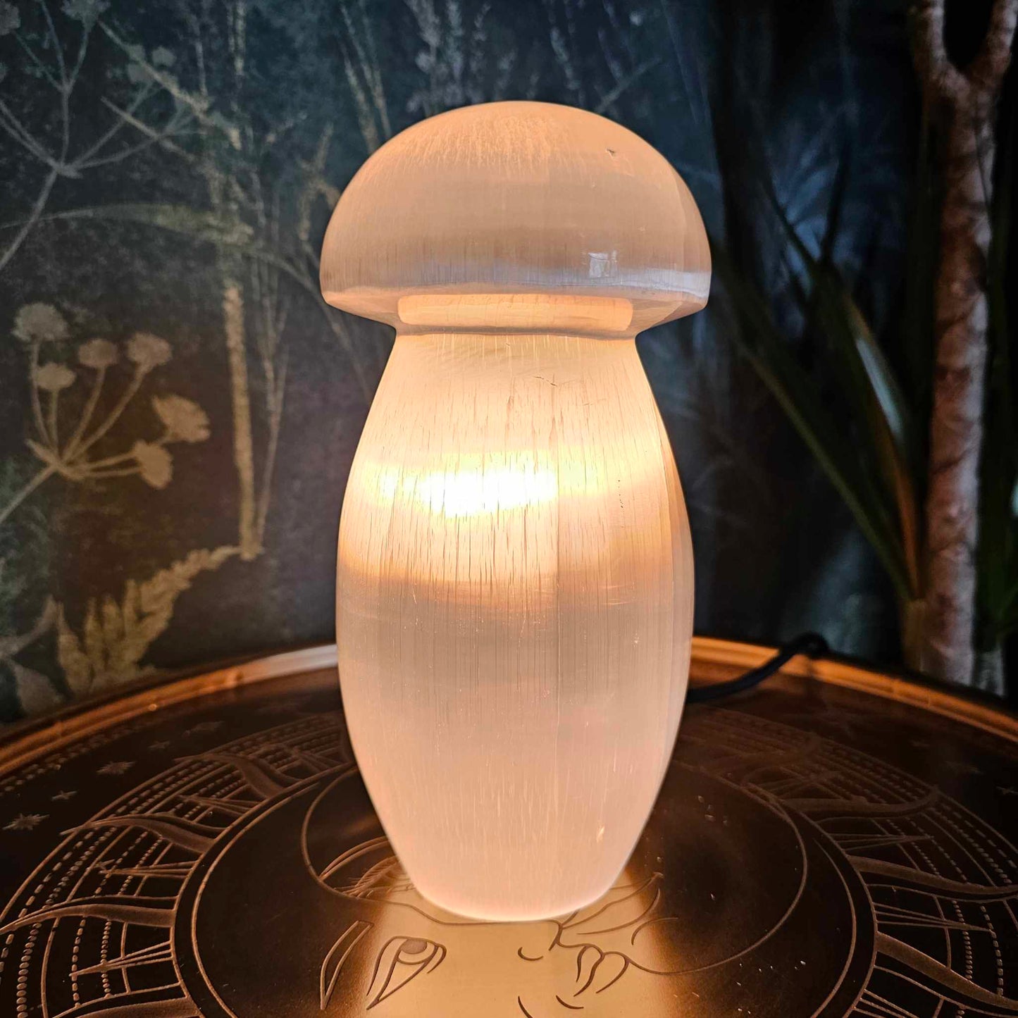 Selenite Mushroom Lamp, 20cm