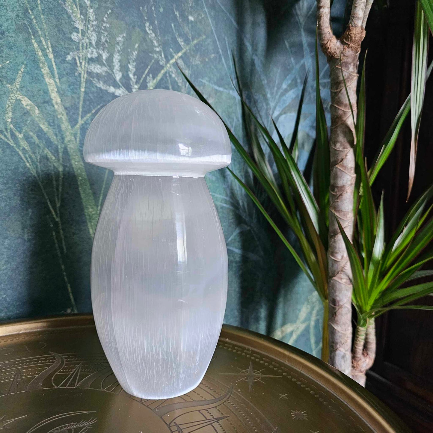 Selenite Mushroom Lamp, 20cm