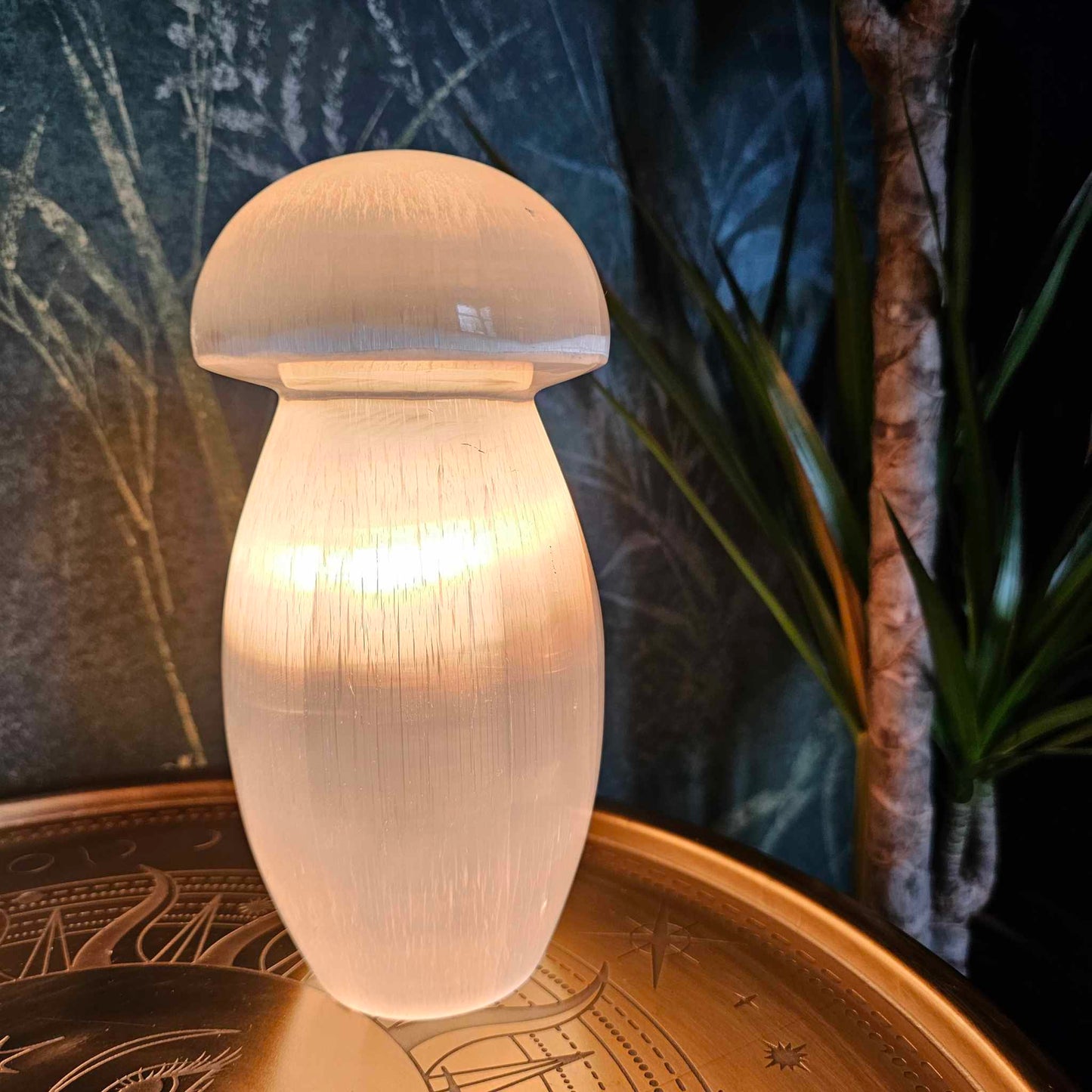 Selenite Mushroom Lamp, 20cm