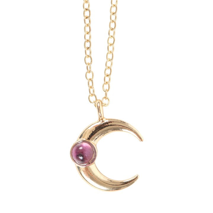 A stainless steel necklace with a crescent moon pendant and an amethyst crystal against a white background