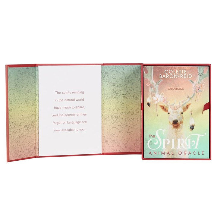 The opened boxed set of oracle cards by Colette Baron-Reid "The Spirit Animal Oracle"