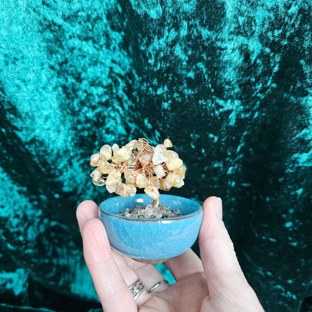 A Citrine crystal tree in a ceramic tea bowl.