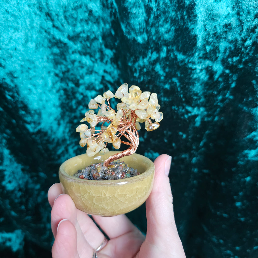A Citrine crystal tree in a ceramic tea bowl.