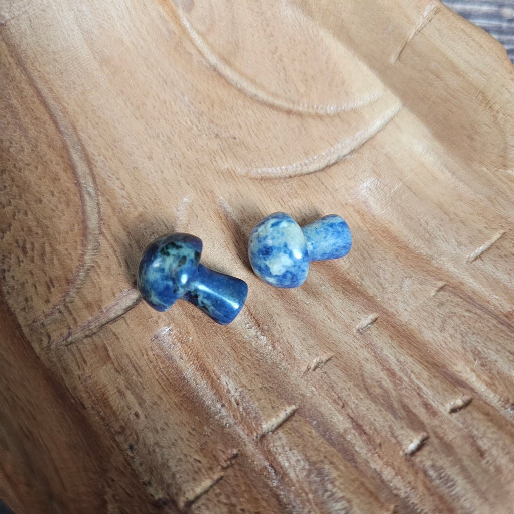 Two miniature crystal mushrooms placed on a wooden surface.