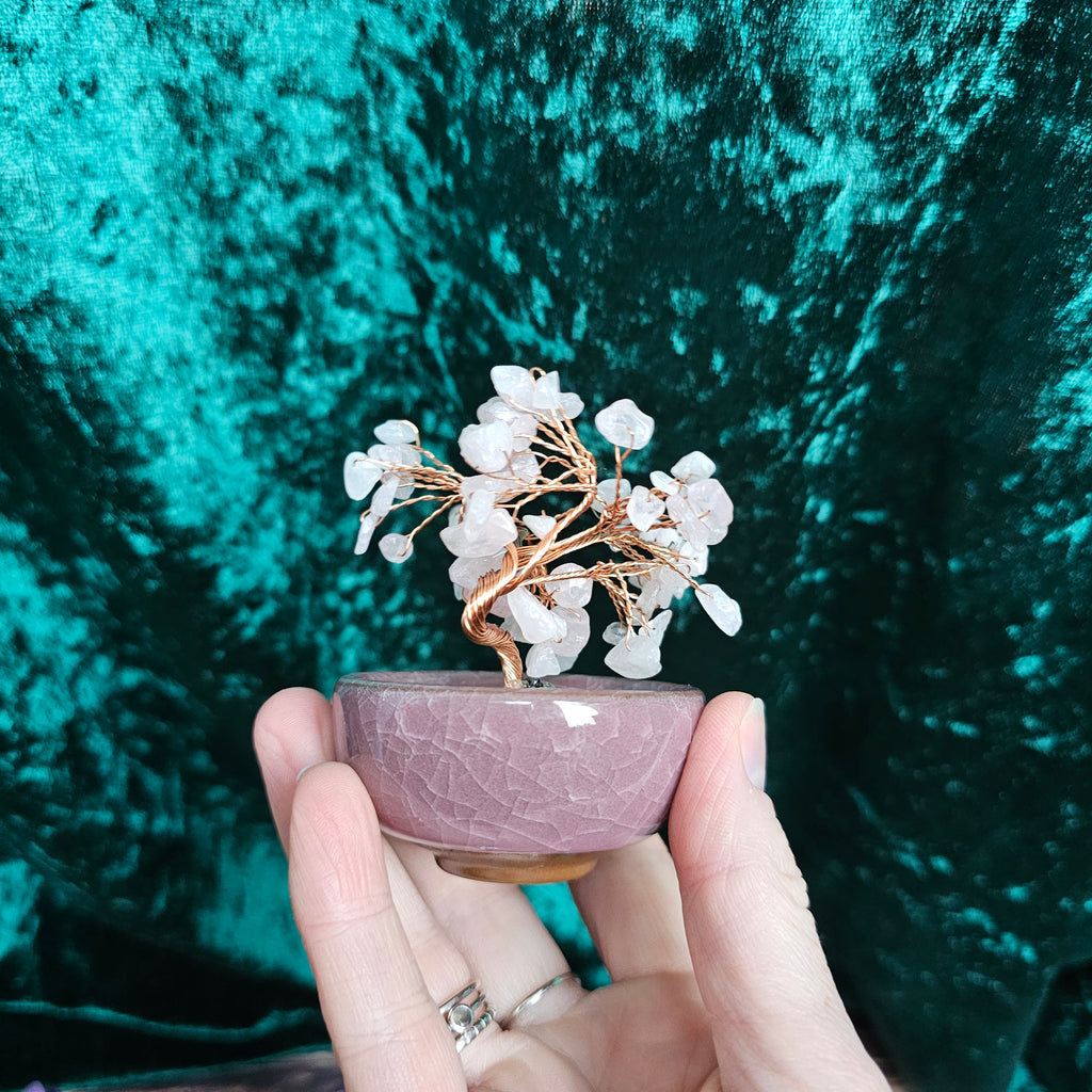 A Rose Quartz crystal tree in a ceramic tea bowl.