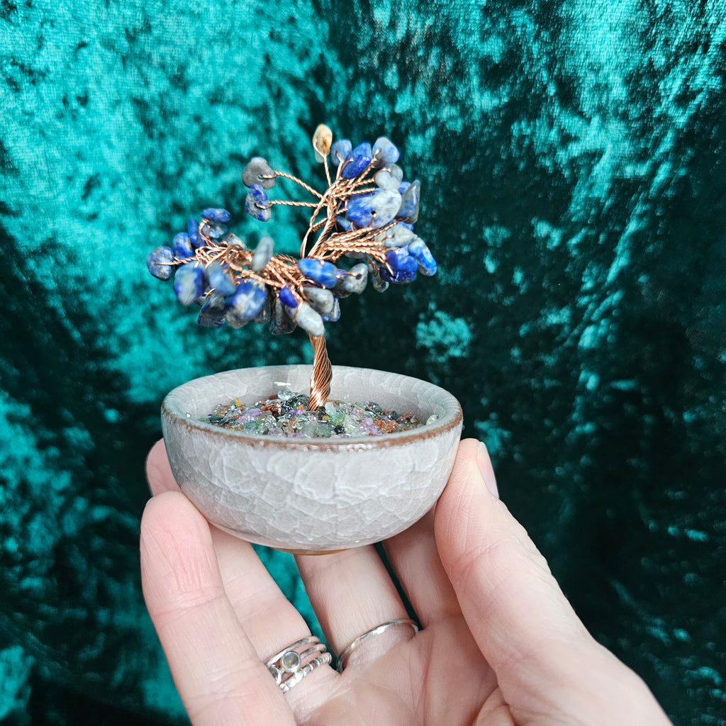 A Lapis Lazuli crystal tree in a ceramic tea bowl.