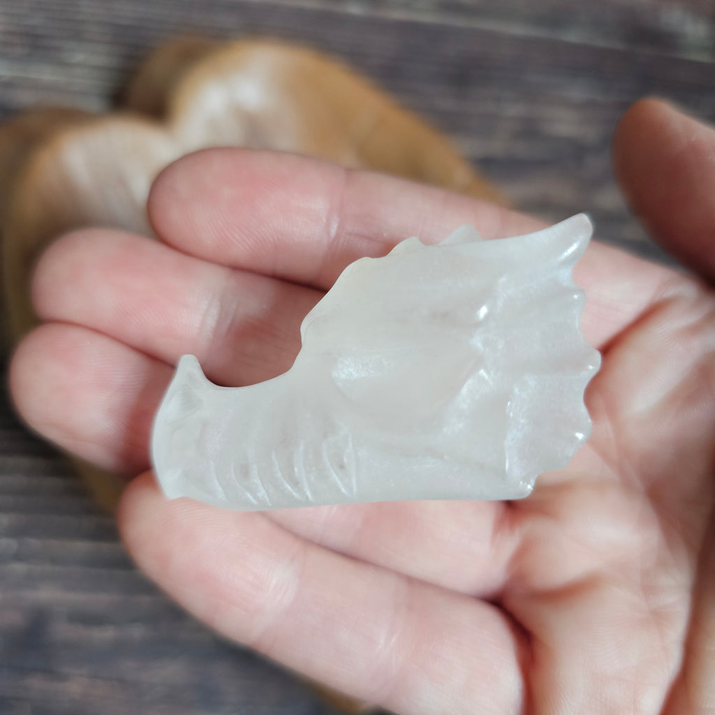 A clear quartz crystal dragon skull figurine, held in a hand