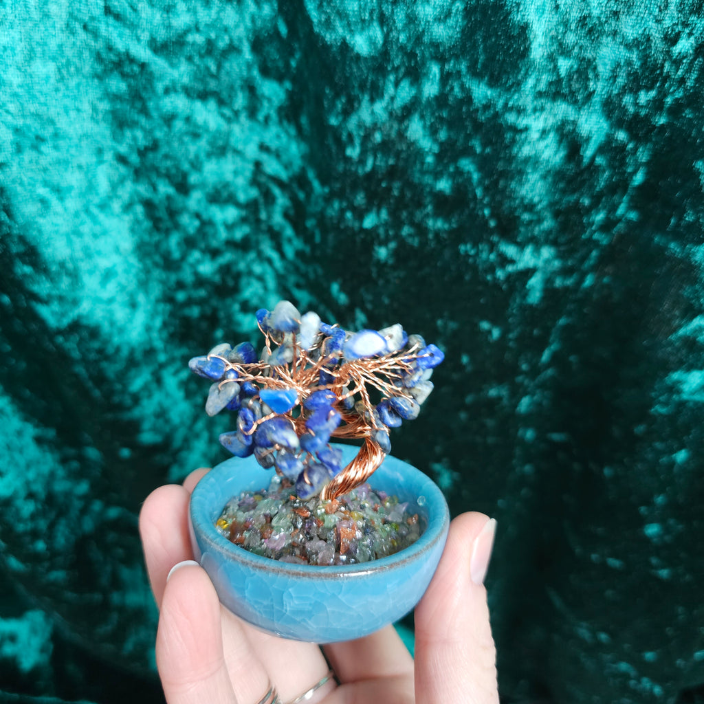 A Lapis Lazuli crystal tree in a ceramic tea bowl.