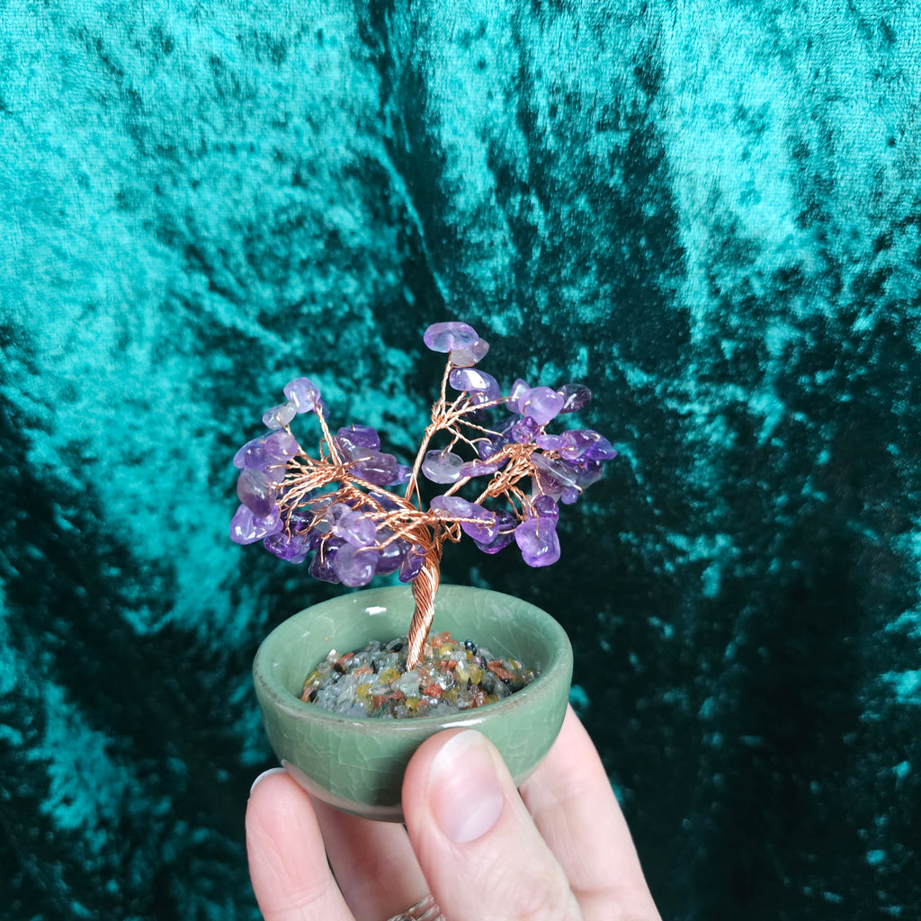 An Amethyst crystal tree in a ceramic tea bowl.