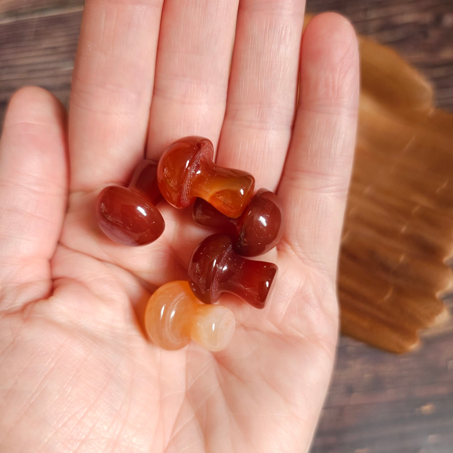 Mini Crystal Mushrooms