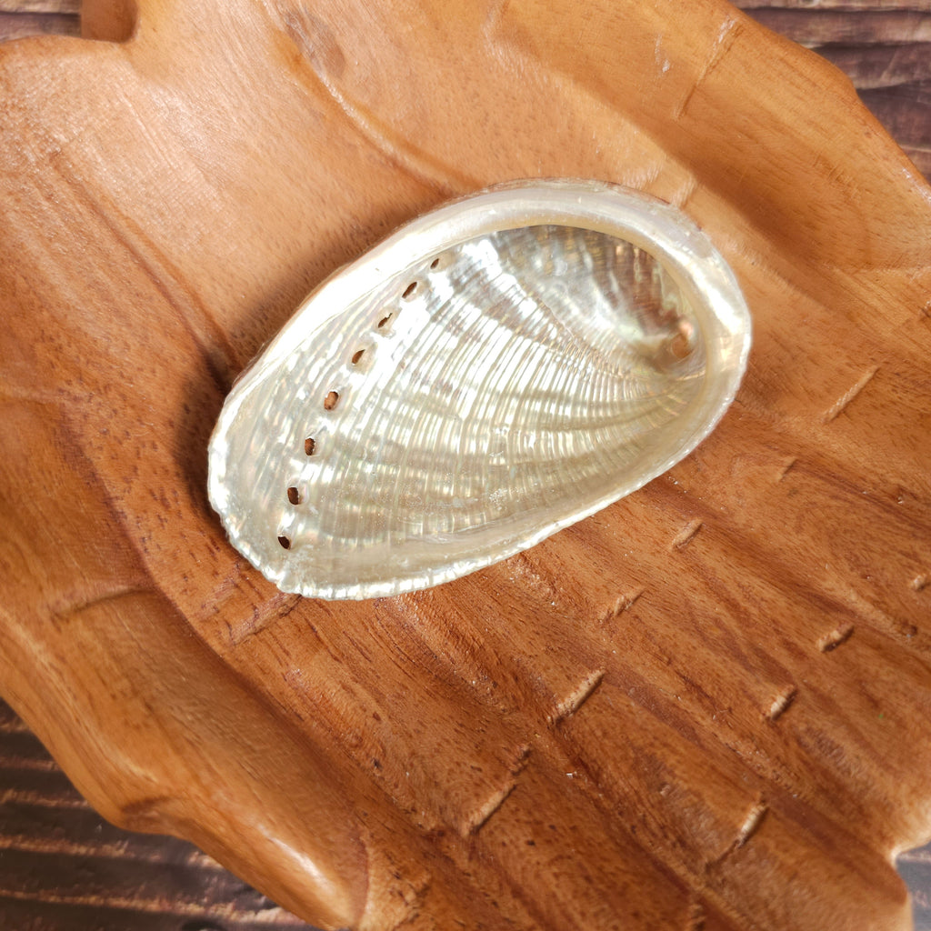 An abalone shell placed on a wooden surface, displaying the natural beige and white colours with patterns typical of an abalone shell.