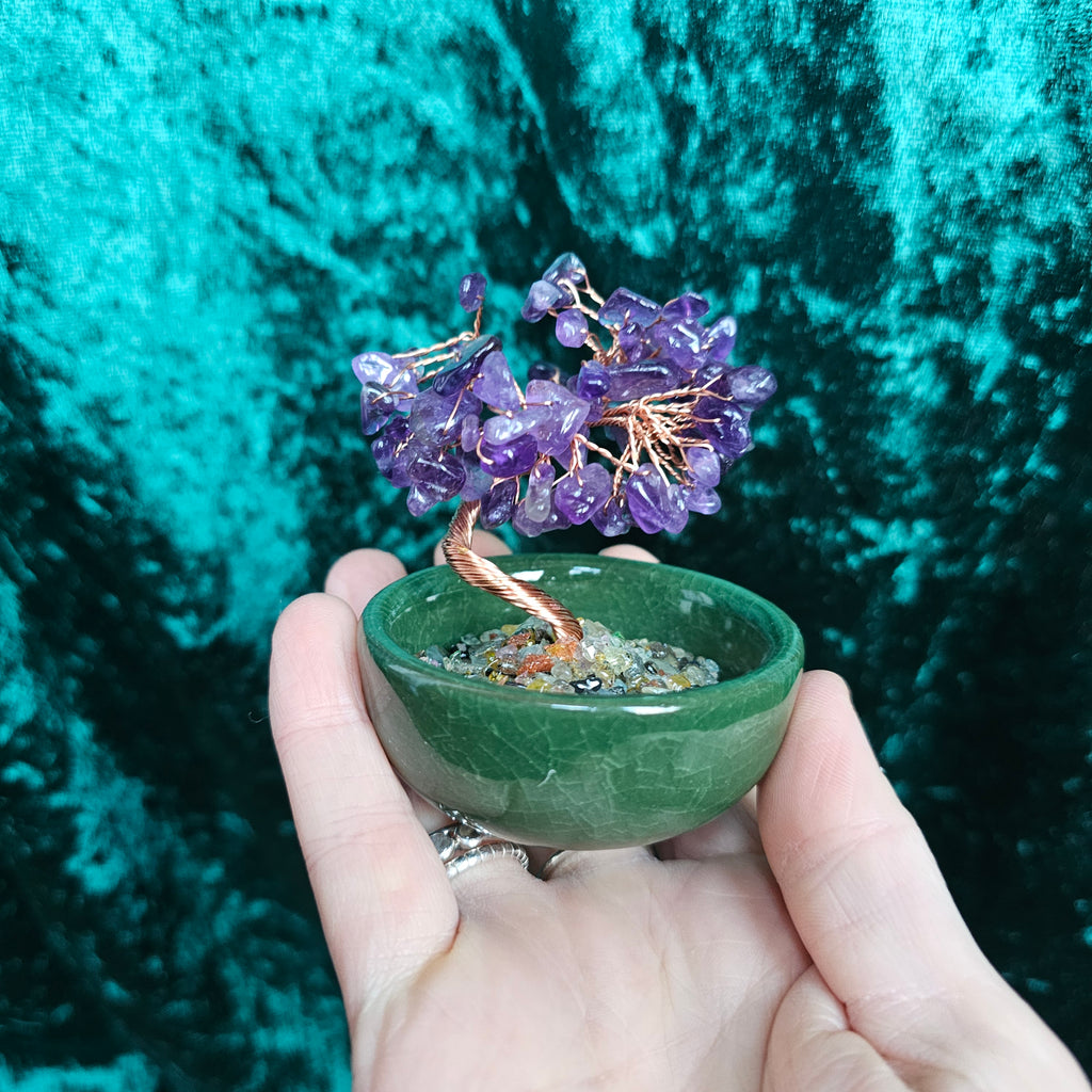 An Amethyst crystal tree in a ceramic tea bowl.