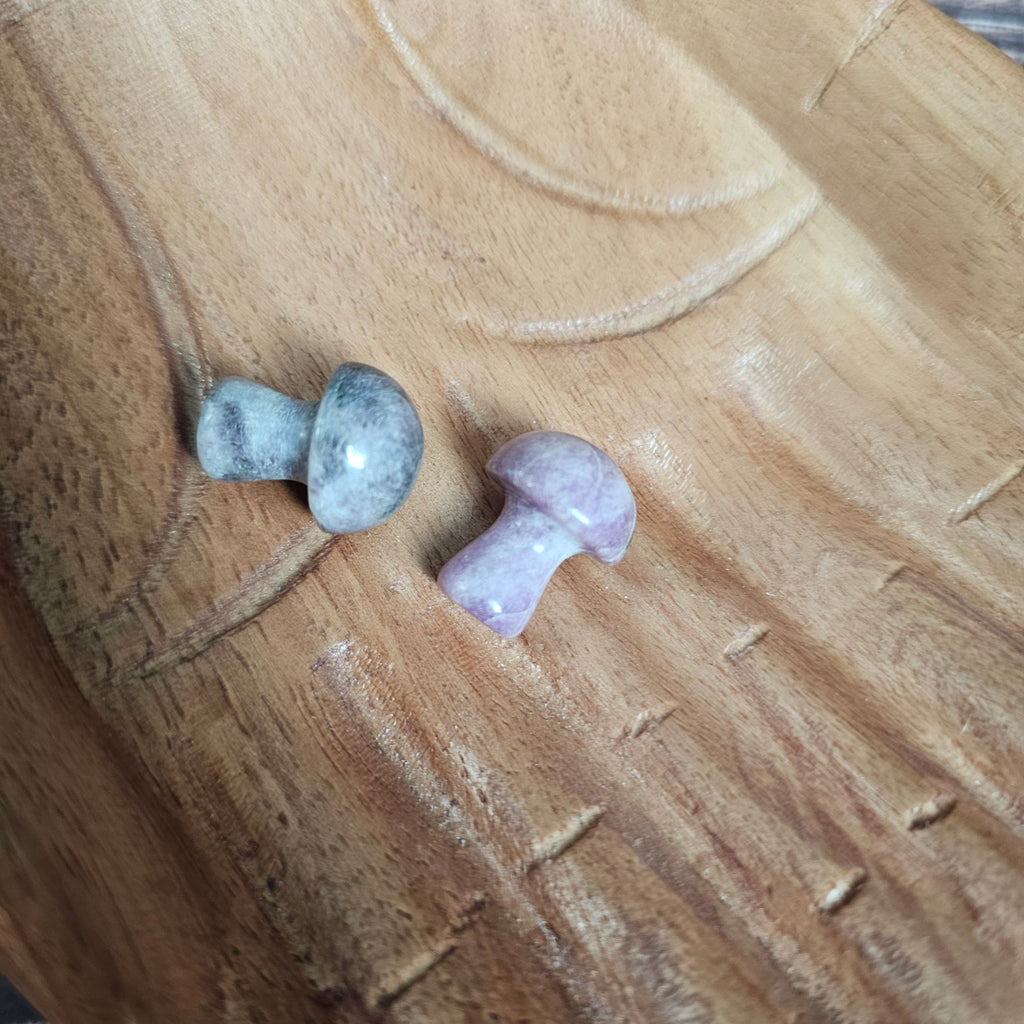 Two miniature crystal mushrooms placed on a wooden surface.